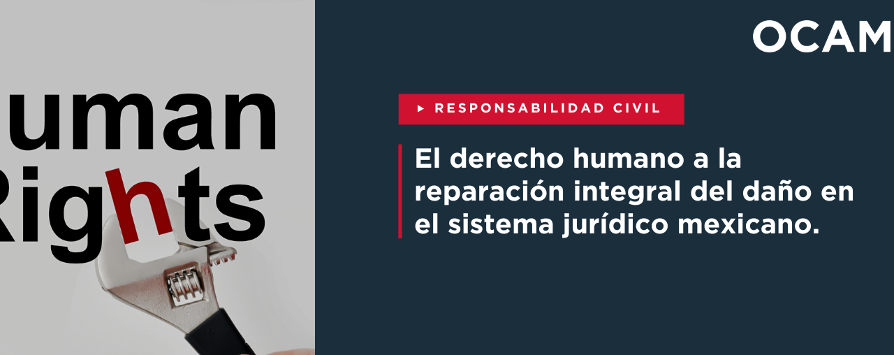 El derecho humano a la reparación integral del daño en el sistema jurídico mexicano.